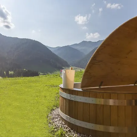 Chalet Wiesenglueck Santa Maddalena in Casies